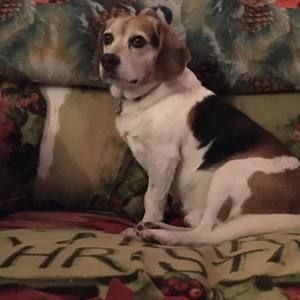 Meet your Posher, Rachael